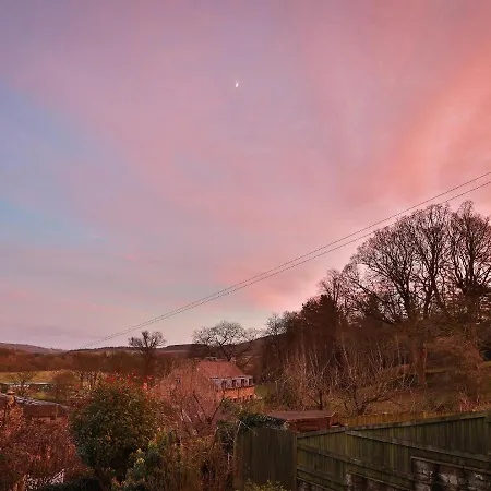 Wren * Pateley Bridge